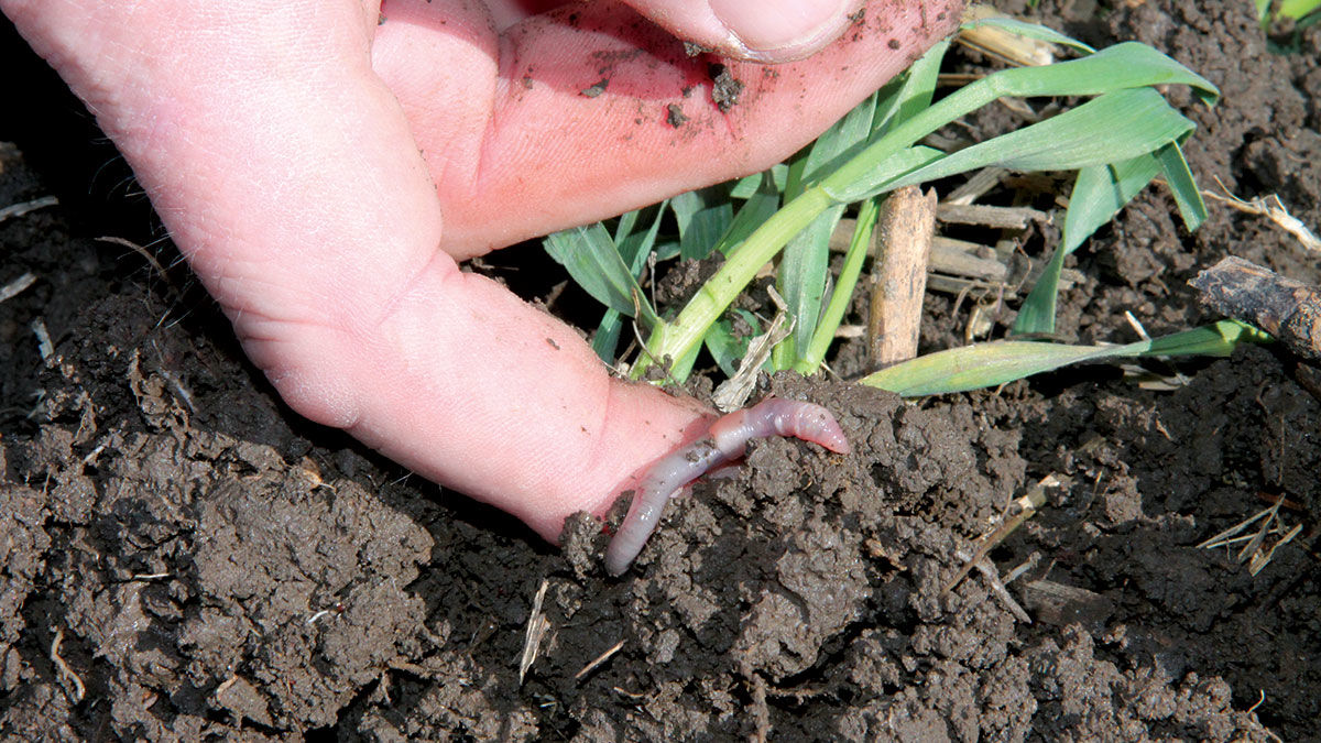 Soil conservation with worn